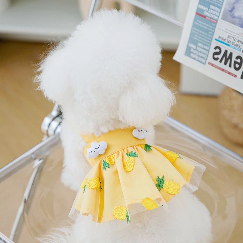 Summer Dog Dress For Small Dogs Luxury Dog Clothes Chihuahua French Bichon Dog Costume Pet Clothing Dog Vest Puppy Skirt - Apple Promo New